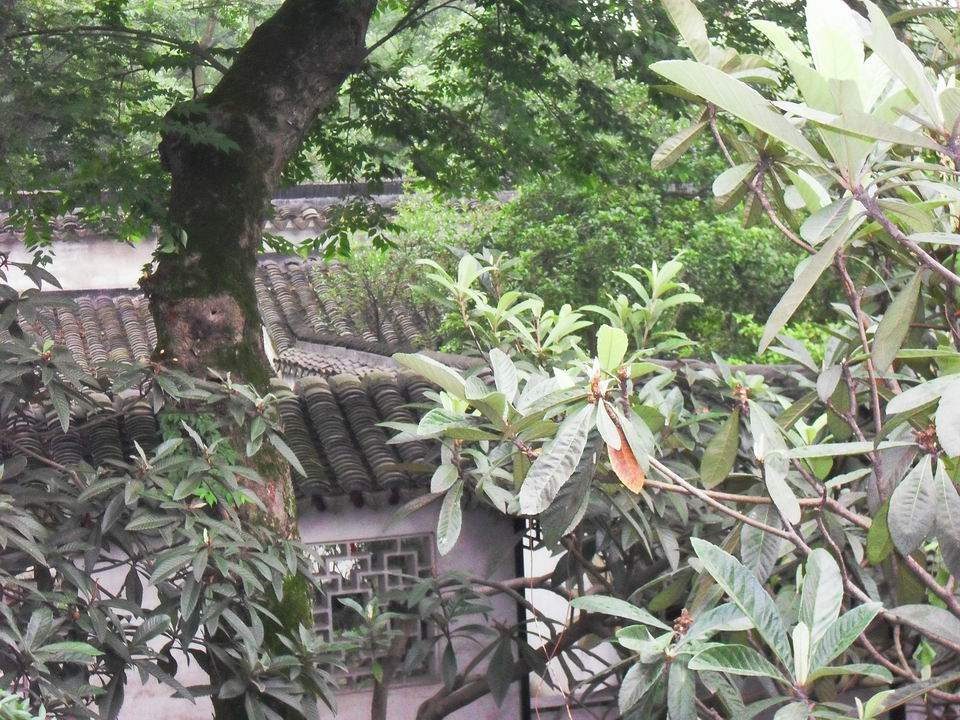 调整大小 SDC13517.JPG