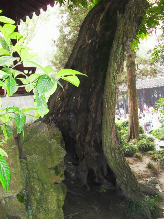 调整大小 SDC13511.JPG