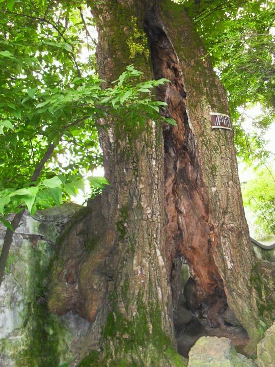 调整大小 SDC13539.JPG