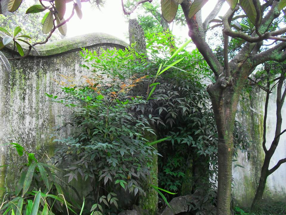 调整大小 SDC13523.JPG