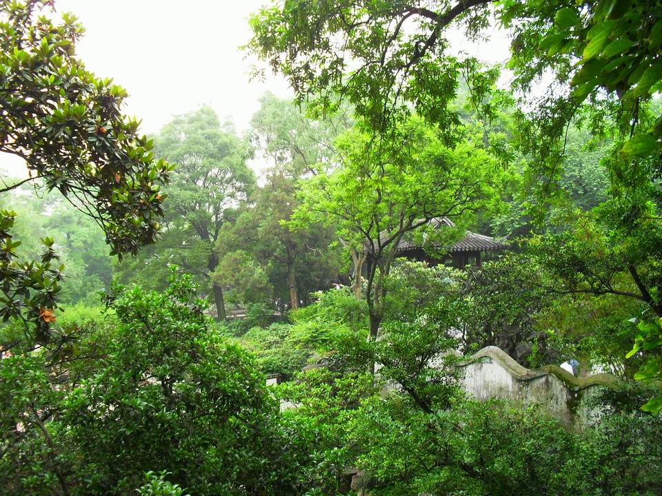 调整大小 SDC13538.JPG