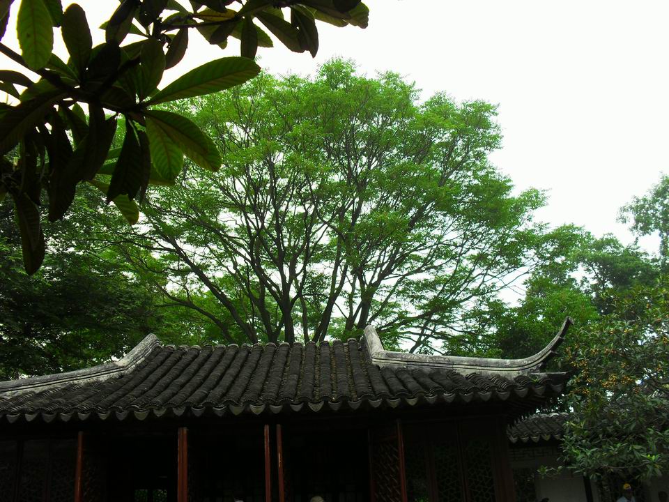 调整大小 SDC13522.JPG