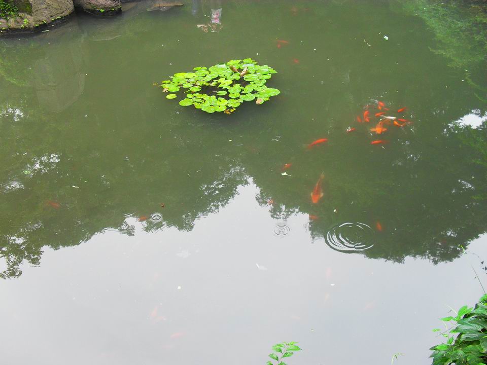 调整大小 SDC13590.JPG