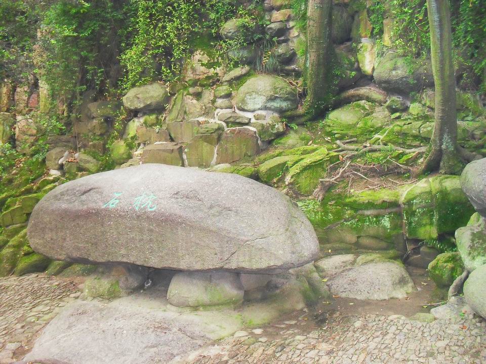 调整大小 SDC13566.JPG