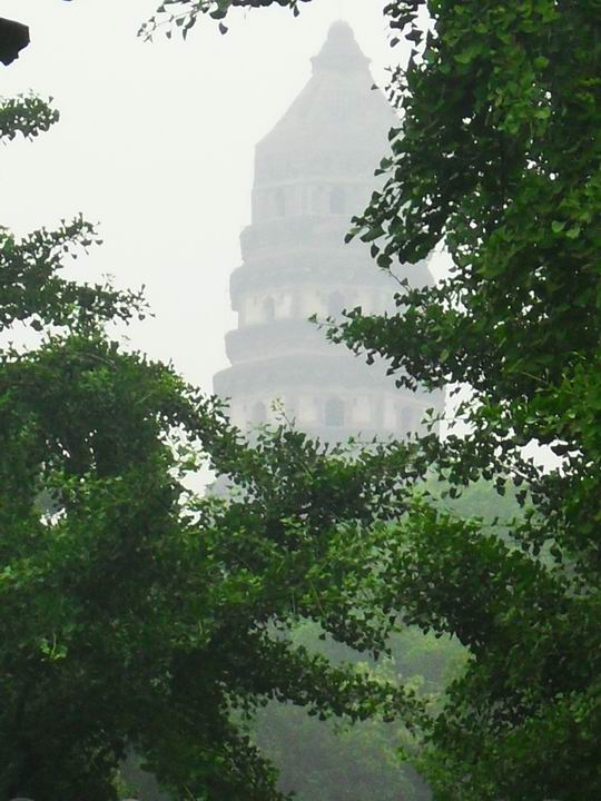 调整大小 SDC13597.JPG