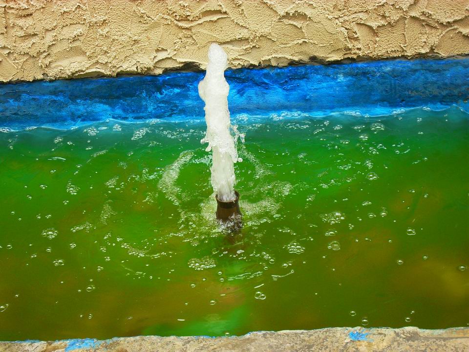 调整大小 SDC13655.JPG