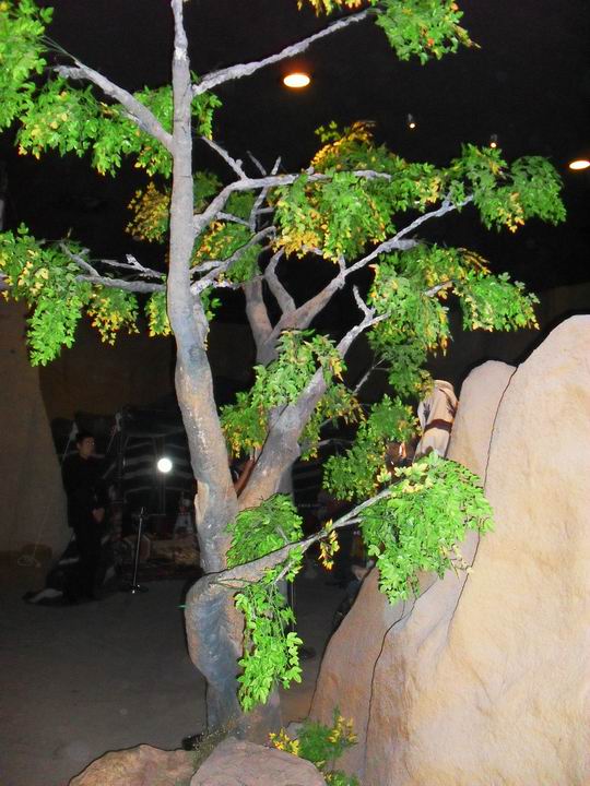 调整大小 SDC13686.JPG