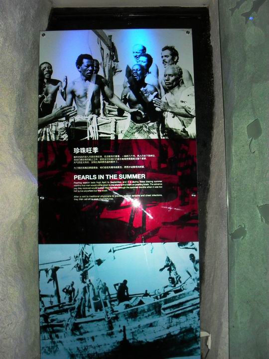 调整大小 SDC13667.JPG