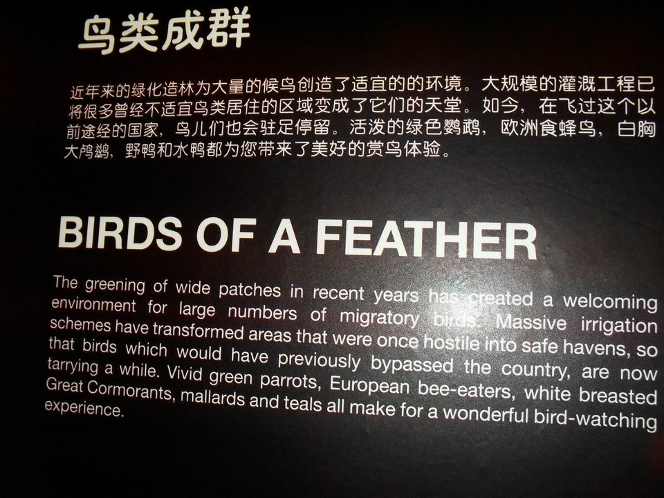 调整大小 SDC13729.JPG