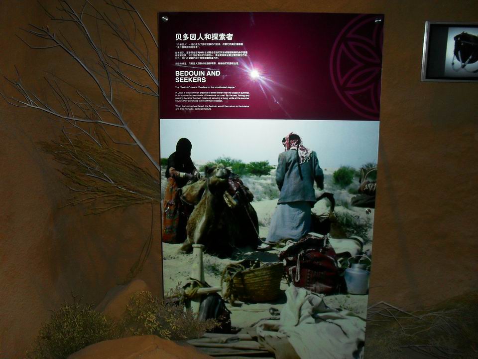 调整大小 SDC13671.JPG