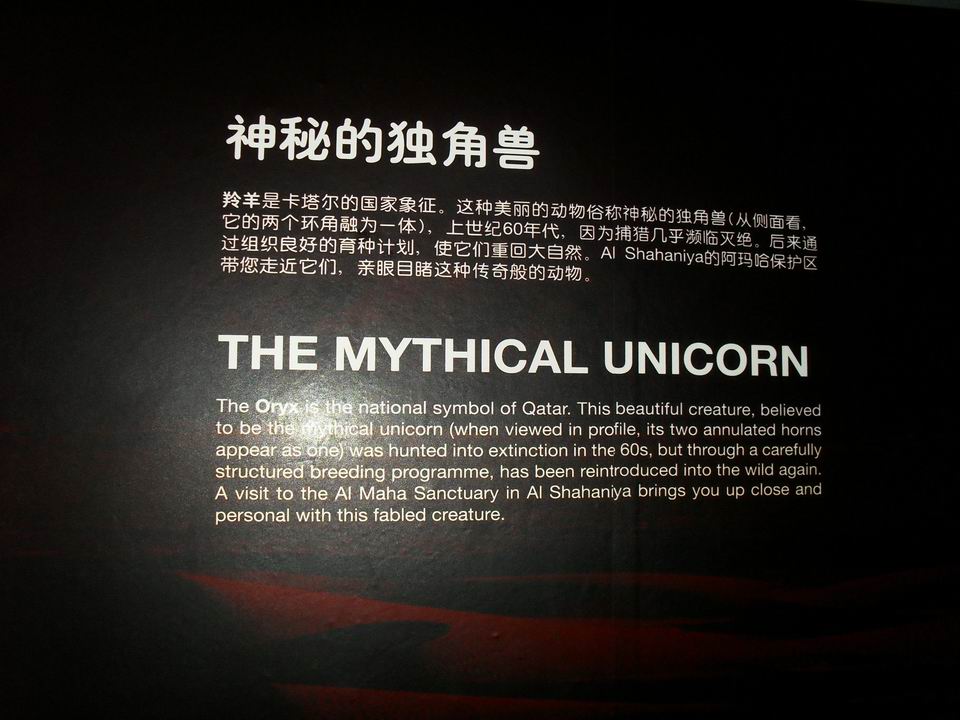 调整大小 SDC13727.JPG