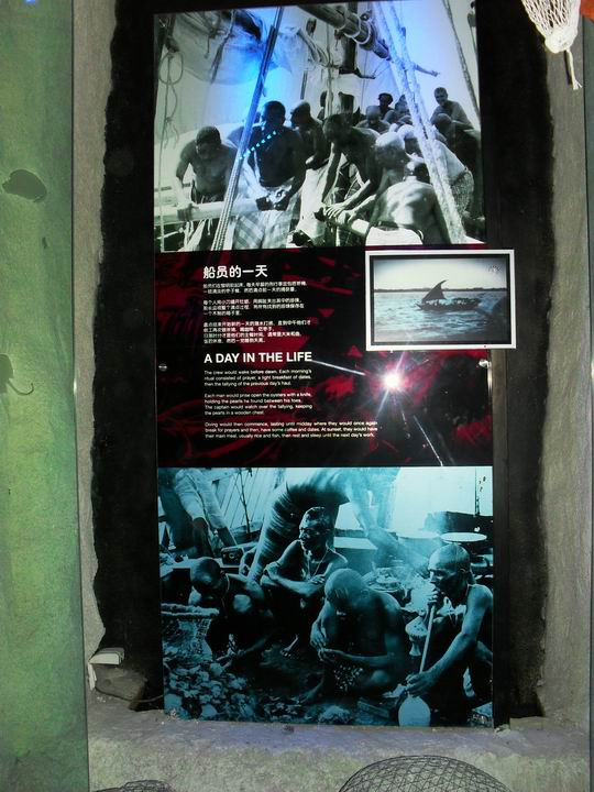 调整大小 SDC13664.JPG