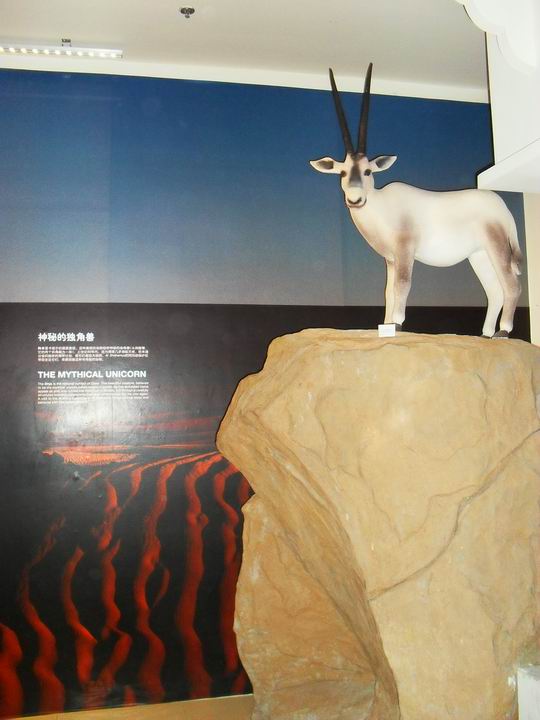 调整大小 SDC13726.JPG