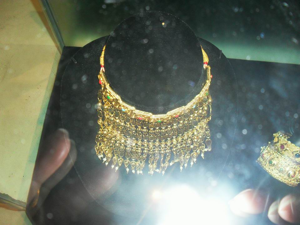 调整大小 SDC13719.JPG