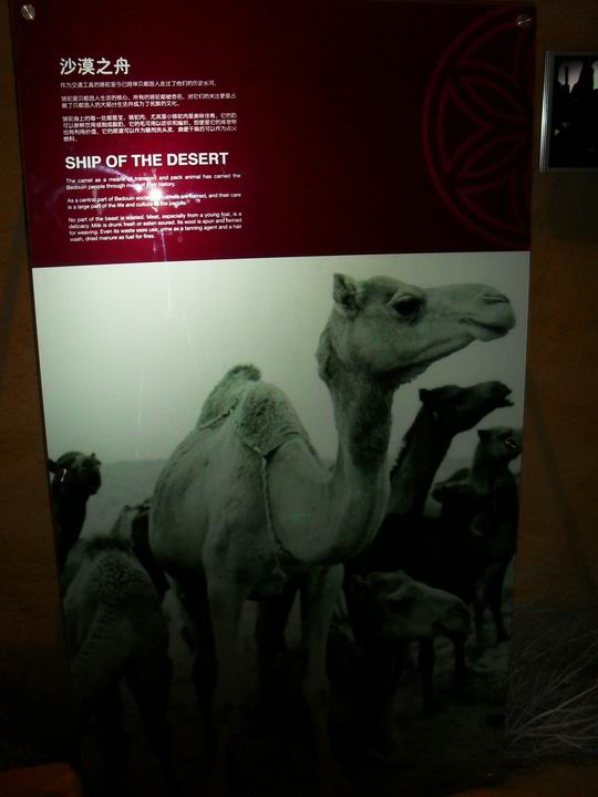 调整大小 SDC13673.JPG