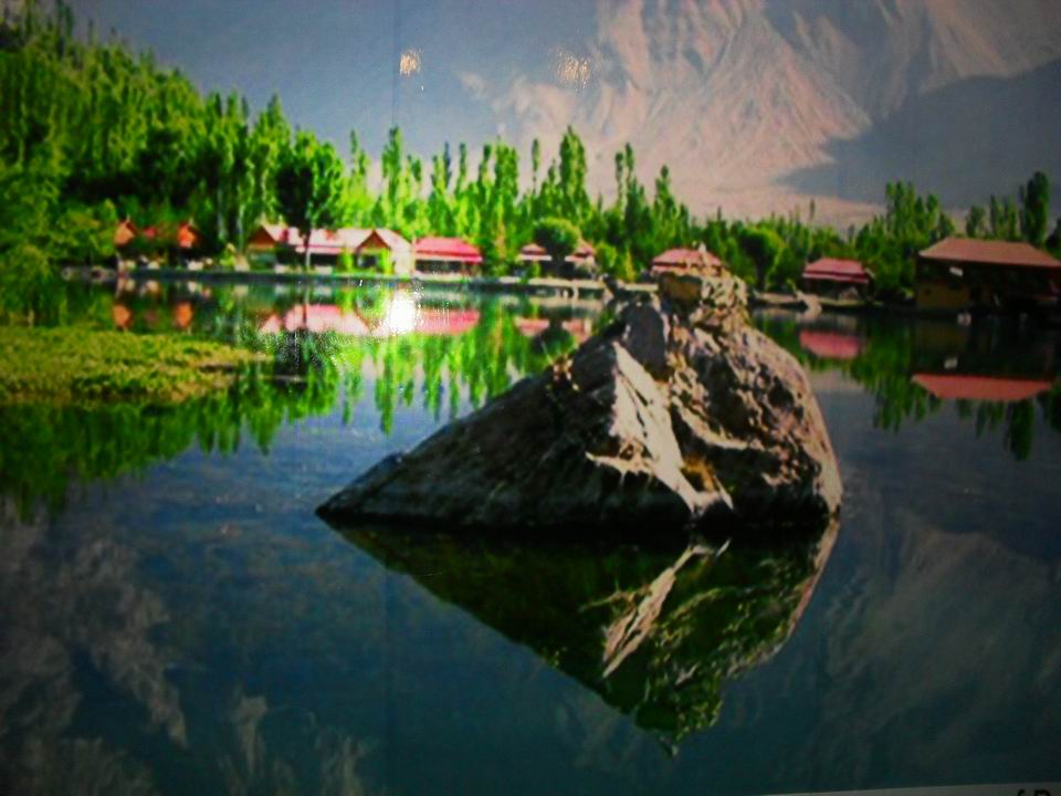 调整大小 SDC13790.JPG