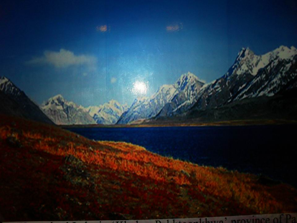 调整大小 SDC13789.JPG