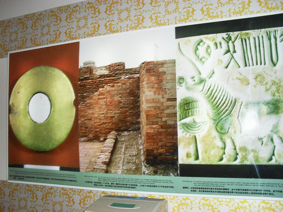 调整大小 SDC13763.JPG