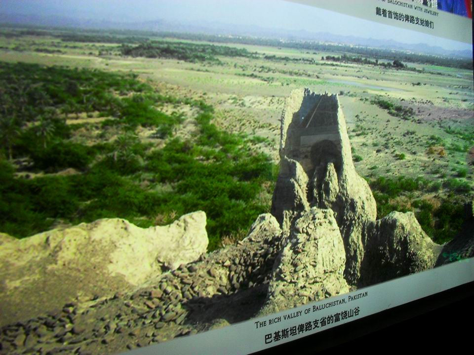 调整大小 SDC13773.JPG