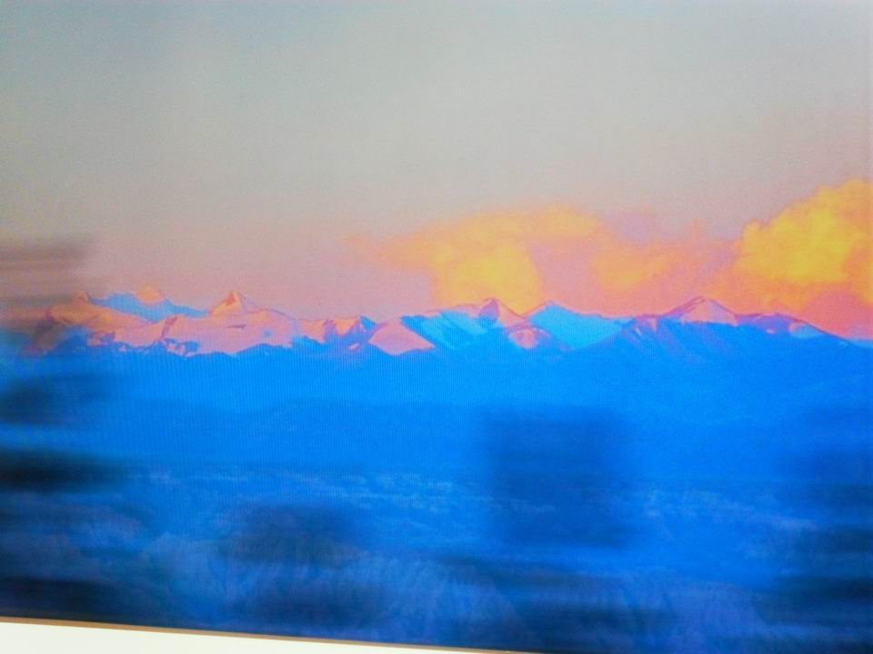 调整大小 SDC13803.JPG