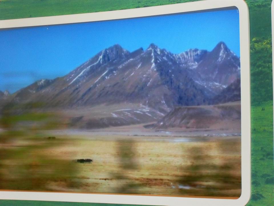 调整大小 SDC13805.JPG