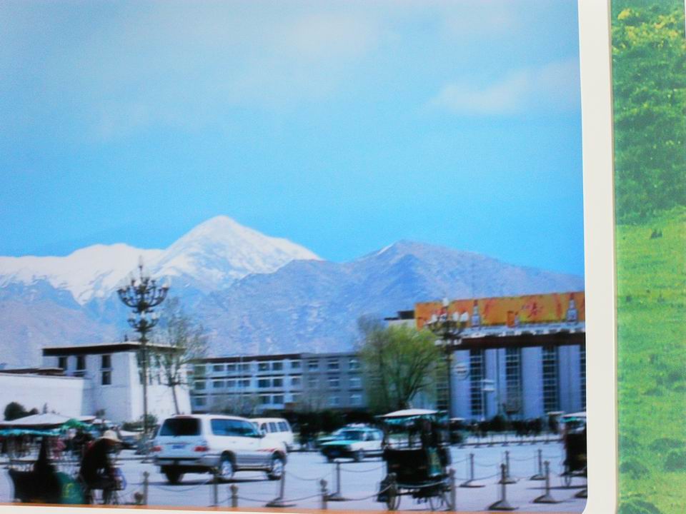 调整大小 SDC13813.JPG