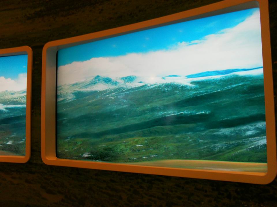 调整大小 SDC13801.JPG