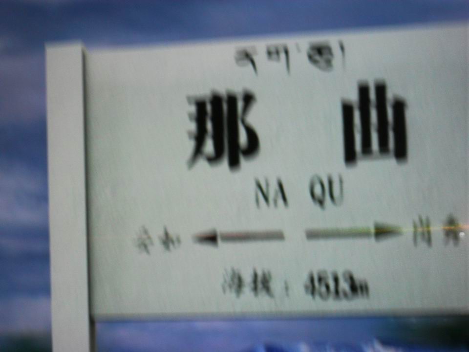 调整大小 SDC13802.JPG