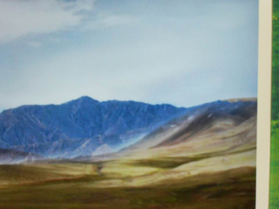 调整大小 SDC13817.JPG