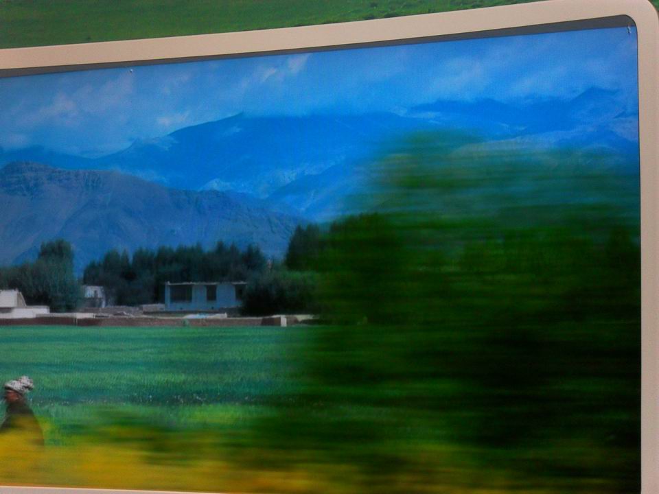 调整大小 SDC13808.JPG