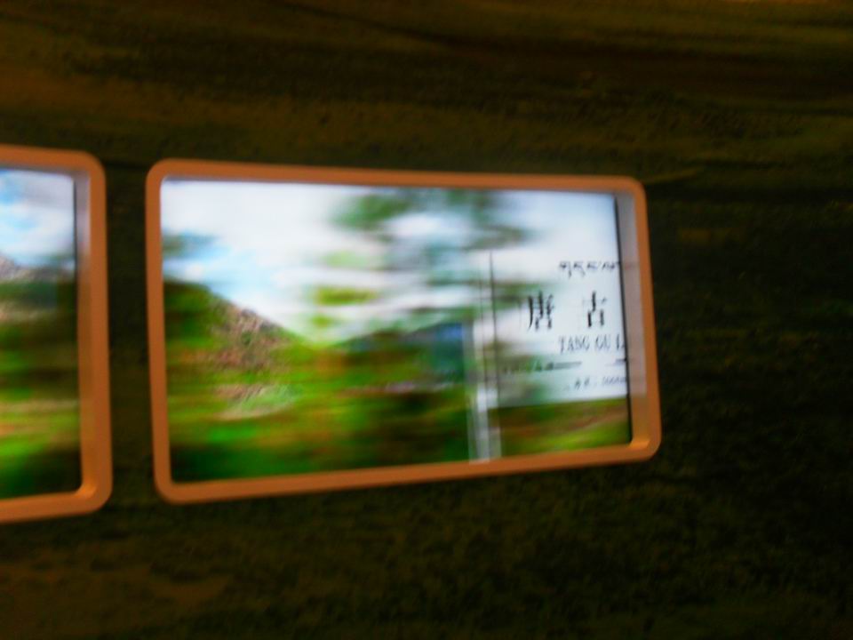 调整大小 SDC13799.JPG