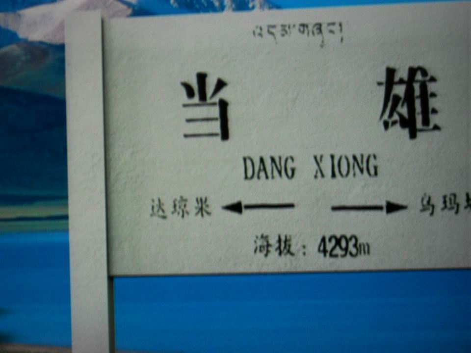 调整大小 SDC13806.JPG