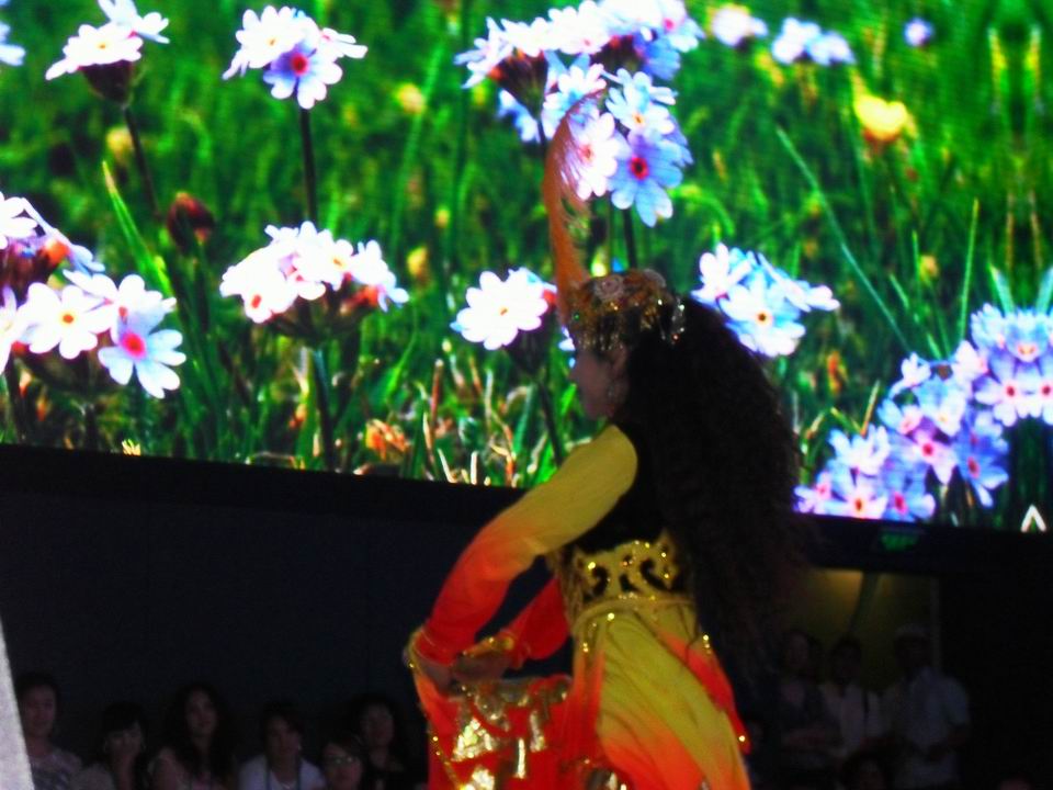 调整大小 SDC13915.JPG