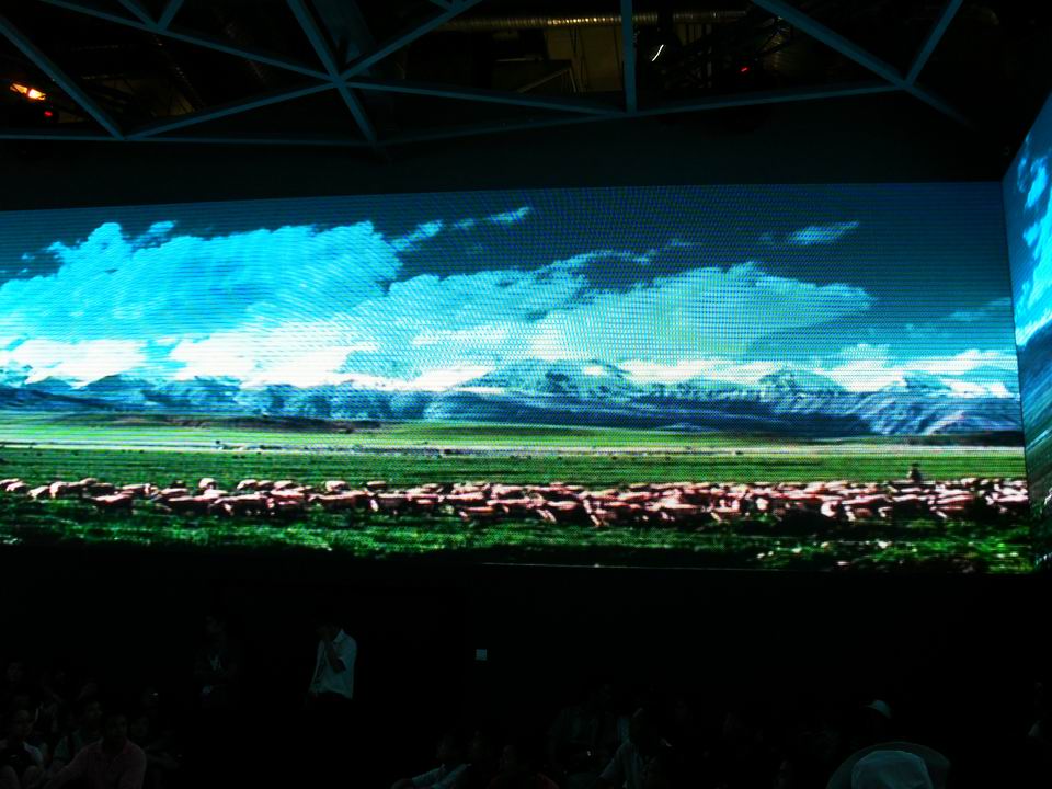 调整大小 SDC13895.JPG