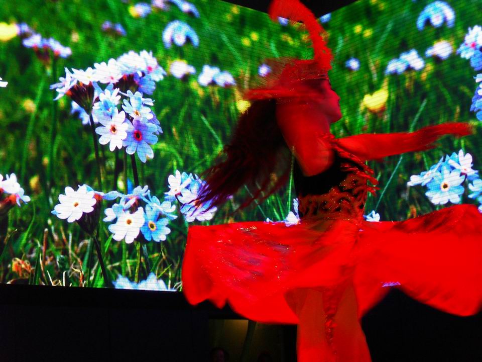 调整大小 SDC13914.JPG