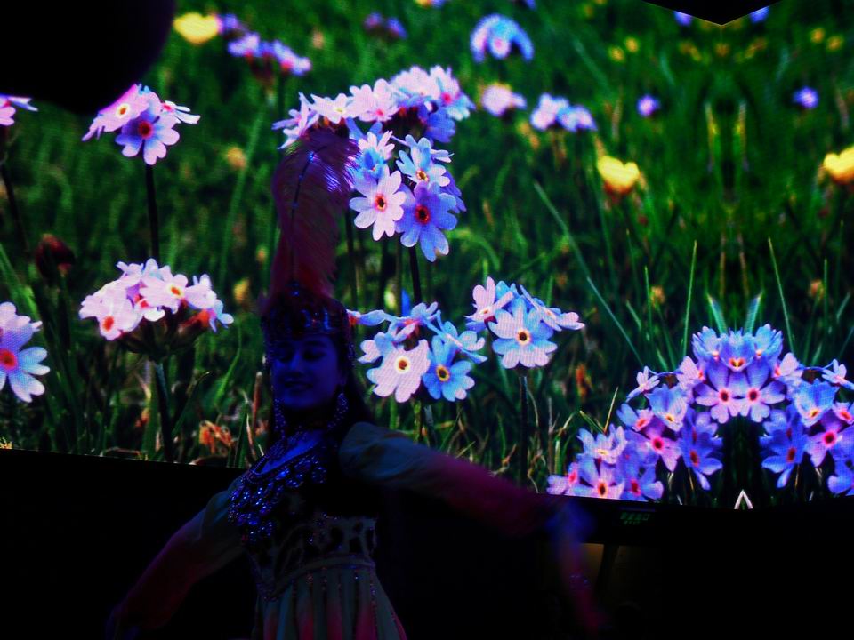 调整大小 SDC13913.JPG