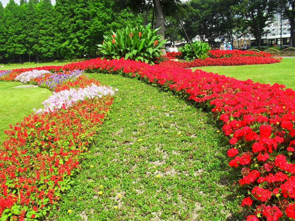 调整大小 SDC14052.JPG