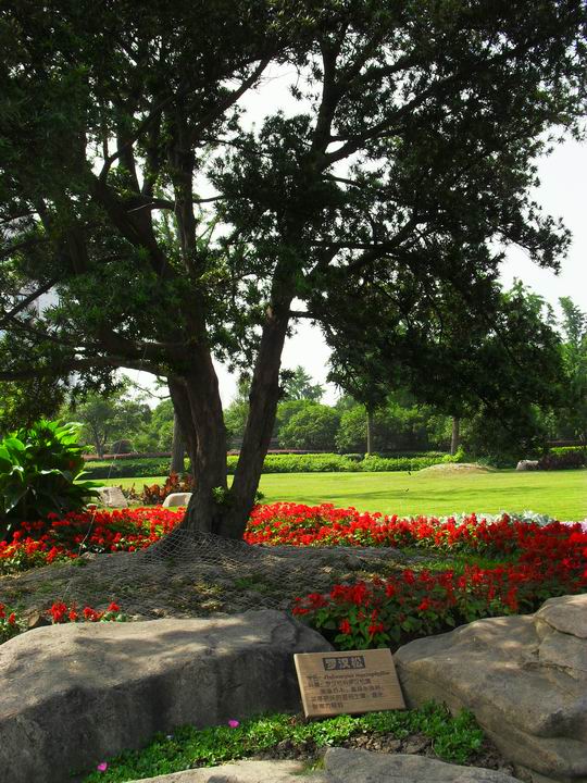 调整大小 SDC14055.JPG