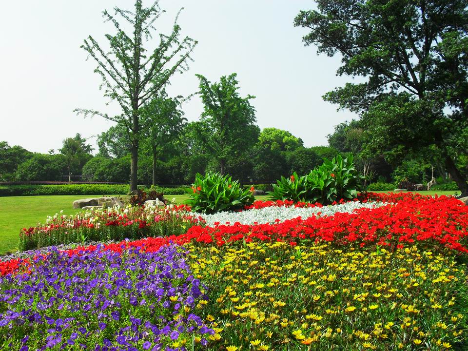 调整大小 SDC14053.JPG