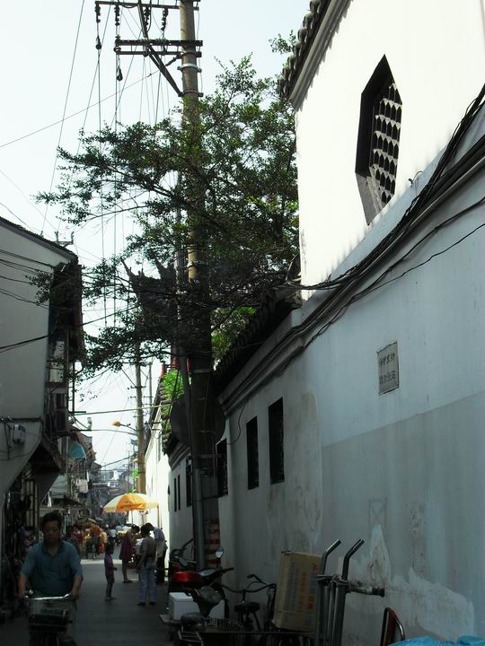 调整大小 SDC14065.JPG