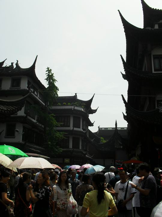 调整大小 SDC14125.JPG