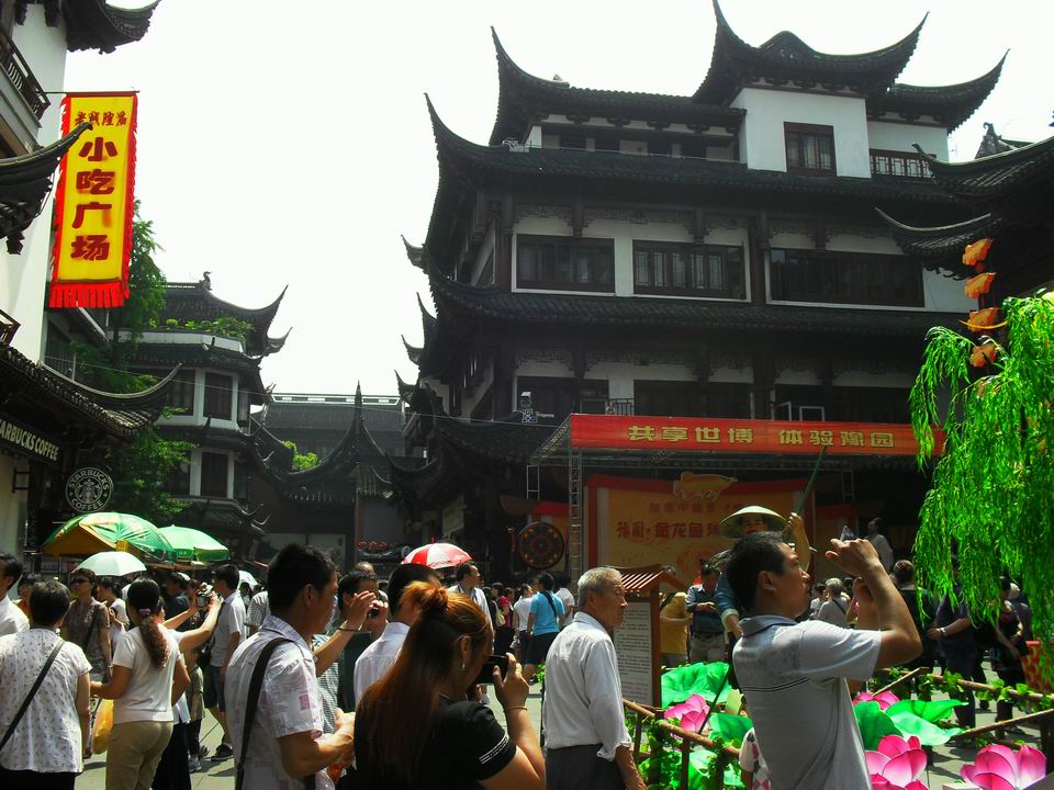 调整大小 SDC14119.JPG