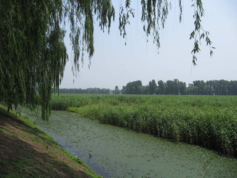 北京市第三届运动会骑行表演、汉石桥骑行 085.jpg