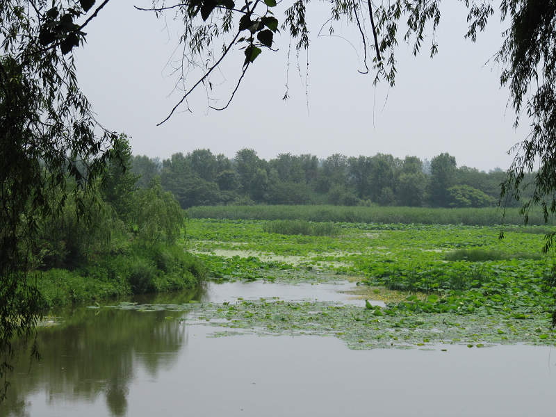 北京市第三届运动会骑行表演、汉石桥骑行 090.jpg