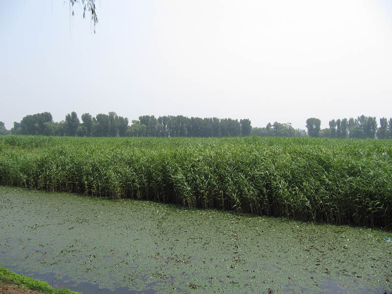 北京市第三届运动会骑行表演、汉石桥骑行 084.jpg