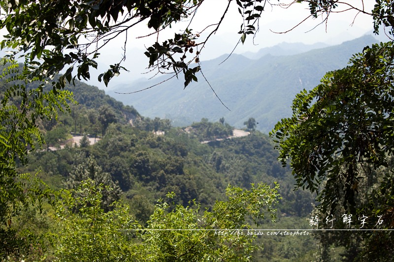 上山的路，找不到好的角度！