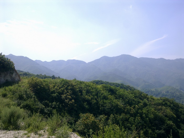 201007031050-1.jpg