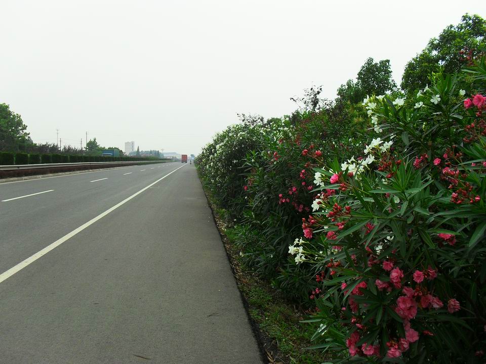 调整大小 SDC12741.JPG