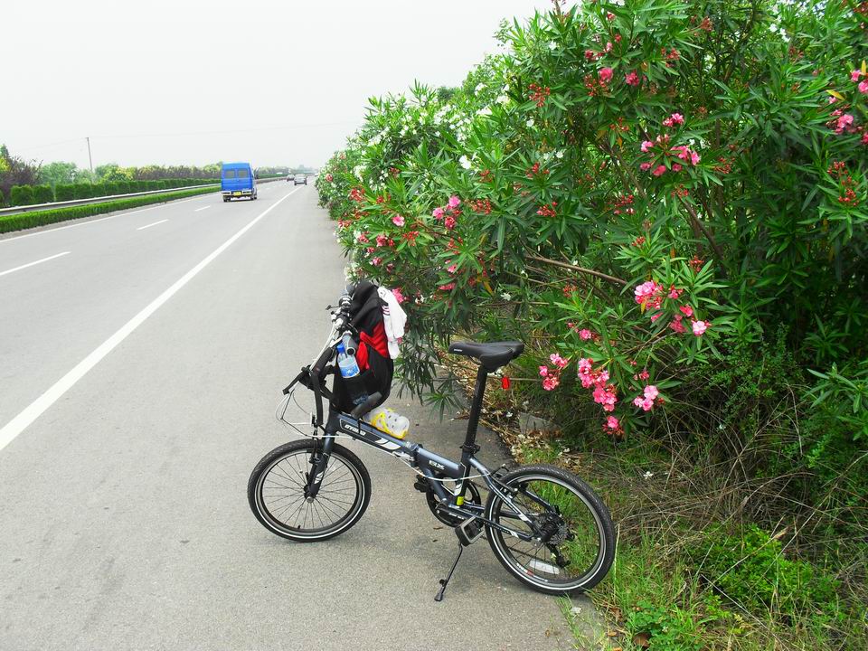 调整大小 SDC12743.JPG