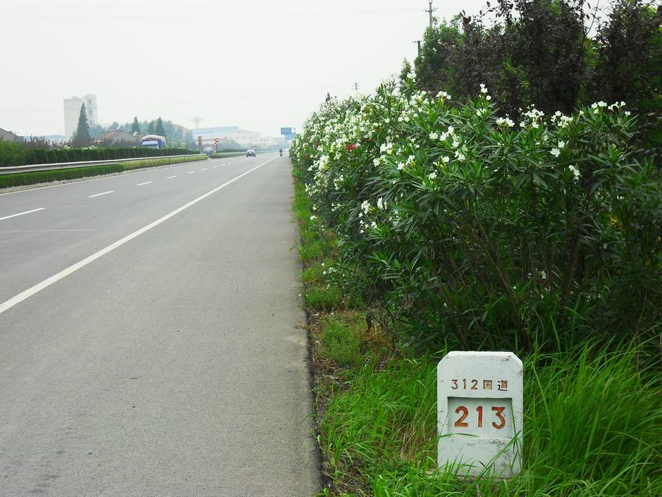 调整大小 SDC12742.JPG